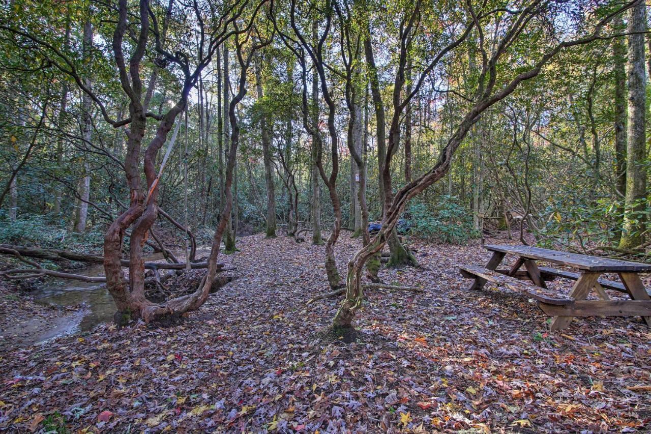 Вилла 5-Acre North Georgia Mountain Retreat With Creek! Sautee Nacoochee Экстерьер фото